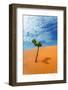 Tree Desert Sand-sergeytimofeev-Framed Photographic Print