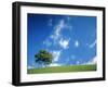 Tree, Devon, England-Peter Adams-Framed Premium Photographic Print