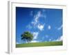 Tree, Devon, England-Peter Adams-Framed Photographic Print