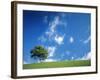 Tree, Devon, England-Peter Adams-Framed Photographic Print