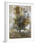 Tree Dreamscape I-Paul Duncan-Framed Giclee Print