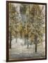 Tree Dreamscape III-Paul Duncan-Framed Giclee Print