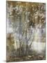 Tree Dreamscape IV-Paul Duncan-Mounted Giclee Print