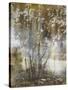 Tree Dreamscape IV-Paul Duncan-Stretched Canvas