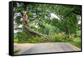 Tree Fallen across a Road-soupstock-Framed Stretched Canvas