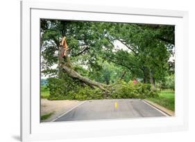 Tree Fallen across a Road-soupstock-Framed Photographic Print