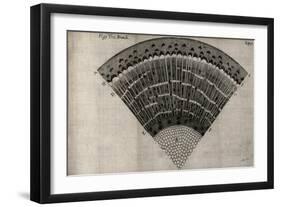 Tree Fan II-John Butler-Framed Art Print