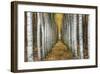 Tree Farm-Michael Cahill-Framed Giclee Print