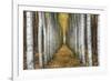 Tree Farm-Michael Cahill-Framed Giclee Print