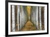 Tree Farm-Michael Cahill-Framed Giclee Print