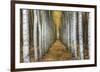 Tree Farm-Michael Cahill-Framed Giclee Print