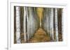 Tree Farm-Michael Cahill-Framed Giclee Print