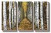 Tree Farm-Michael Cahill-Stretched Canvas