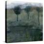 Tree Farm-Lou Wall-Stretched Canvas