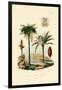 Tree Fern, 1833-39-null-Framed Giclee Print