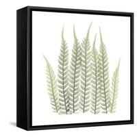 Tree Fern in Green-Albert Koetsier-Framed Stretched Canvas