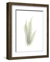 Tree Fern Portrait 1-Albert Koetsier-Framed Premium Giclee Print