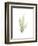 Tree Fern Portrait 1-Albert Koetsier-Framed Premium Giclee Print