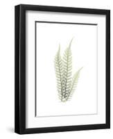 Tree Fern Portrait 1-Albert Koetsier-Framed Premium Giclee Print