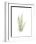 Tree Fern Portrait 1-Albert Koetsier-Framed Premium Giclee Print