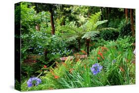 Tree ferns and flowers in Sete Fontes Park near Rosais, Sao Jorge Island, Azores, Portugal-null-Stretched Canvas