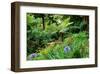 Tree ferns and flowers in Sete Fontes Park near Rosais, Sao Jorge Island, Azores, Portugal-null-Framed Art Print