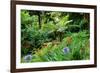 Tree ferns and flowers in Sete Fontes Park near Rosais, Sao Jorge Island, Azores, Portugal-null-Framed Art Print