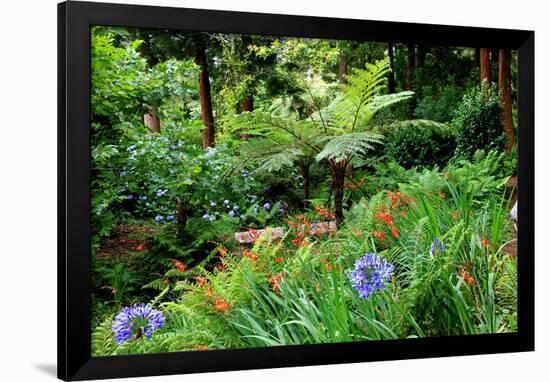 Tree ferns and flowers in Sete Fontes Park near Rosais, Sao Jorge Island, Azores, Portugal-null-Framed Art Print