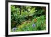 Tree ferns and flowers in Sete Fontes Park near Rosais, Sao Jorge Island, Azores, Portugal-null-Framed Art Print