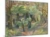 Tree Ferns, Trewidden-Mary Kuper-Mounted Giclee Print