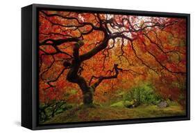 Tree Fire-Darren White Photography-Framed Stretched Canvas