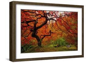 Tree Fire-Darren White Photography-Framed Photographic Print