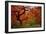Tree Fire-Darren White Photography-Framed Photographic Print