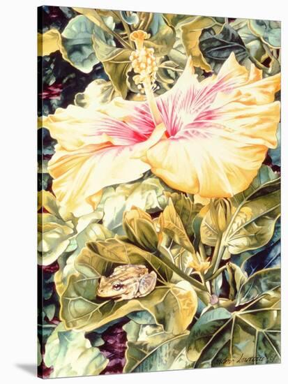 Tree Frog and White, Yellow and Pink Hibiscus, 1989-Sandra Lawrence-Stretched Canvas