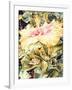 Tree Frog and White, Yellow and Pink Hibiscus, 1989-Sandra Lawrence-Framed Giclee Print