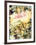 Tree Frog and White, Yellow and Pink Hibiscus, 1989-Sandra Lawrence-Framed Giclee Print