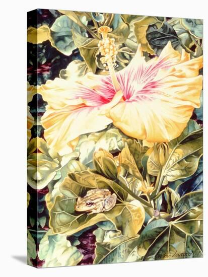 Tree Frog and White, Yellow and Pink Hibiscus, 1989-Sandra Lawrence-Stretched Canvas