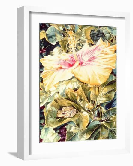 Tree Frog and White, Yellow and Pink Hibiscus, 1989-Sandra Lawrence-Framed Giclee Print