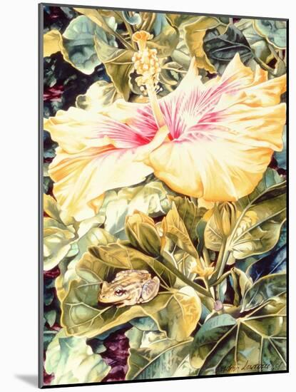 Tree Frog and White, Yellow and Pink Hibiscus, 1989-Sandra Lawrence-Mounted Giclee Print