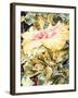 Tree Frog and White, Yellow and Pink Hibiscus, 1989-Sandra Lawrence-Framed Giclee Print