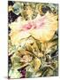 Tree Frog and White, Yellow and Pink Hibiscus, 1989-Sandra Lawrence-Mounted Giclee Print