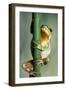 Tree Frog Hugging Branch-null-Framed Photographic Print