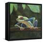 Tree frog,  pastel-Margo Starkey-Framed Stretched Canvas