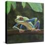 Tree frog,  pastel-Margo Starkey-Stretched Canvas
