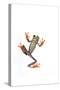 Tree Frog-null-Stretched Canvas