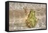 Tree Frog-Robert Goldwitz-Framed Stretched Canvas