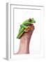 Tree Frog-null-Framed Photographic Print