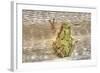 Tree Frog-Robert Goldwitz-Framed Photographic Print