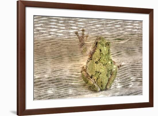 Tree Frog-Robert Goldwitz-Framed Photographic Print