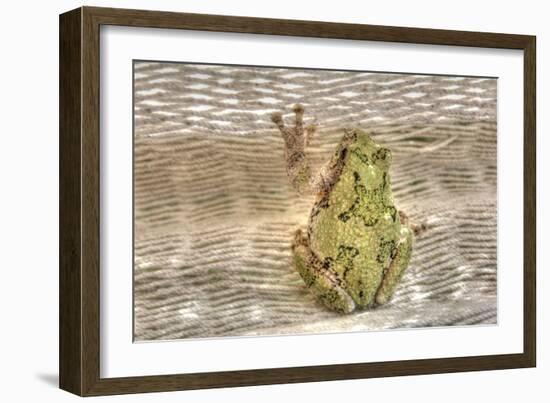 Tree Frog-Robert Goldwitz-Framed Photographic Print